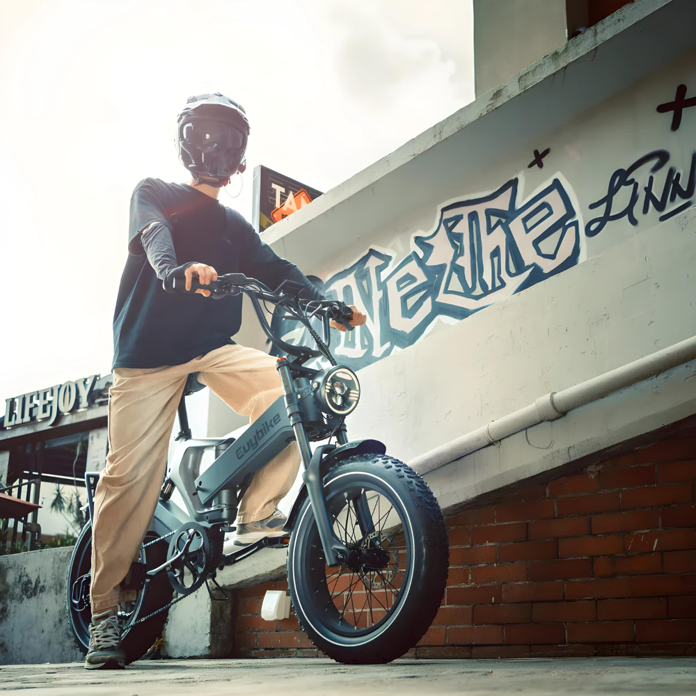 K6 Pro (K6F) Long Range upto 150KM Fat Tire E-bike 1500W(peak) 48v 25Ah