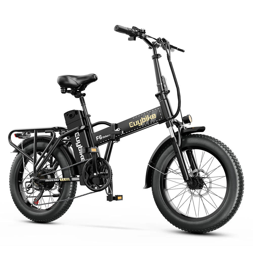 Euy F6 Long Range up to 100Km |48v 20AH battery |100W 50Km/Hr | Fat Tire | folable Electric Bike