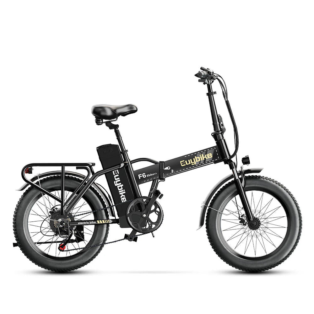 Euy F6 Long Range up to 100Km |48v 20AH battery |100W 50Km/Hr | Fat Tire | folable Electric Bike
