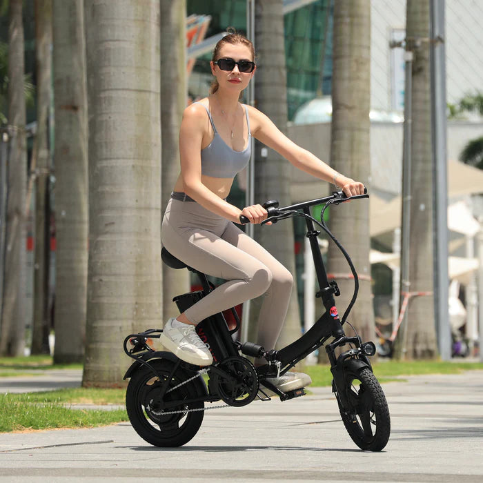 Windone S14 Folding City Commuter
