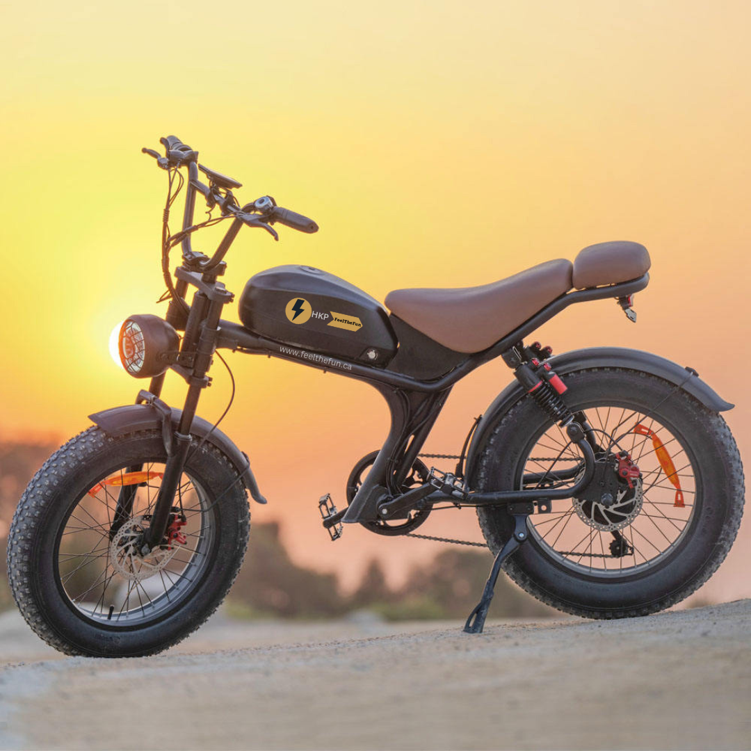HK-C93 Electric Bike