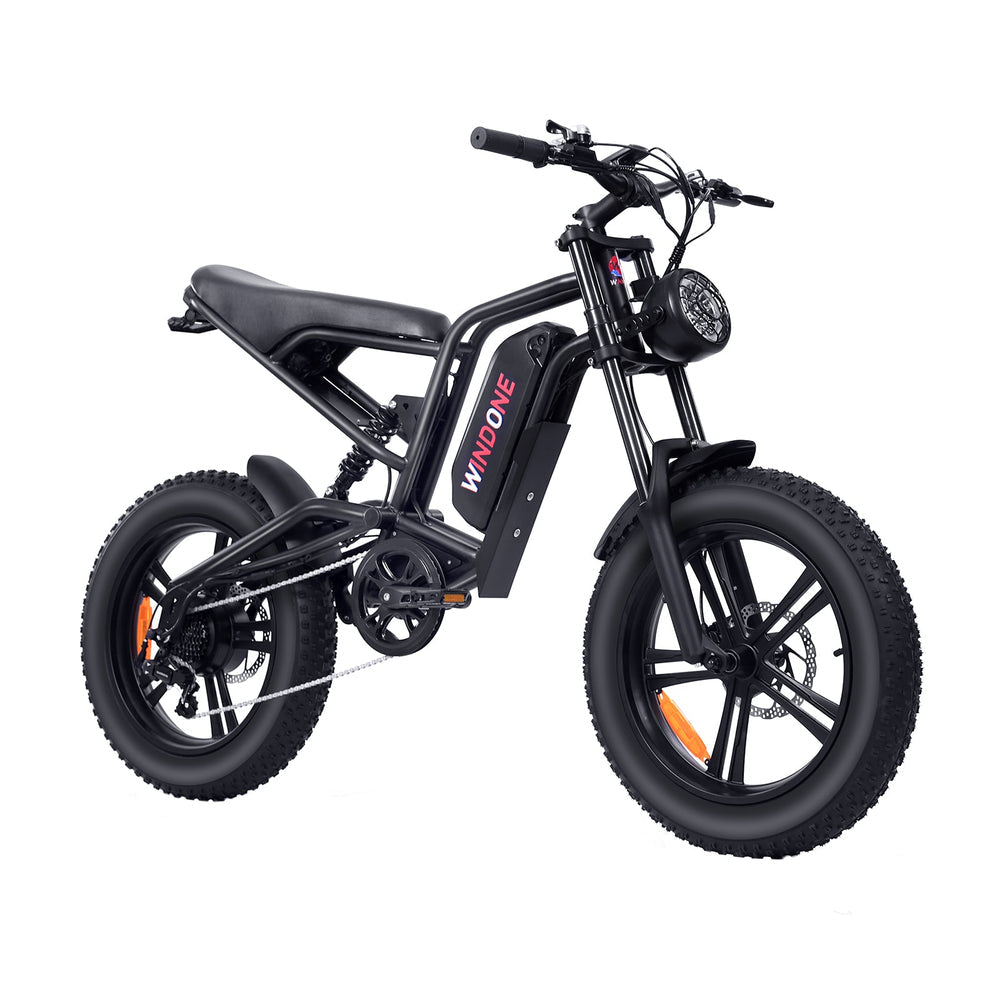 Windone E2 Fat Tire Off-Road Adventurer