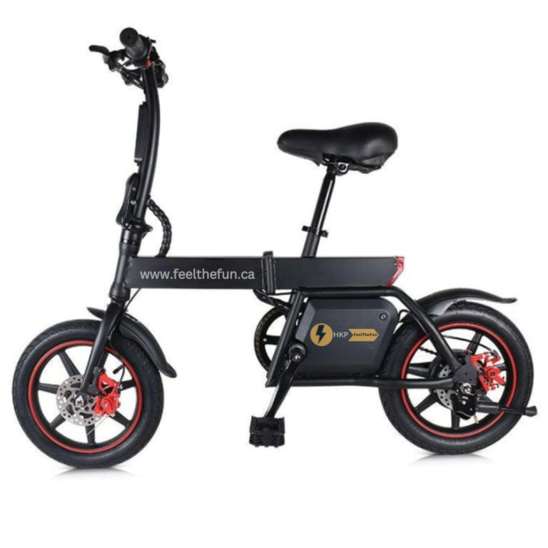 HK B20 Foldable Electric Bike for adults