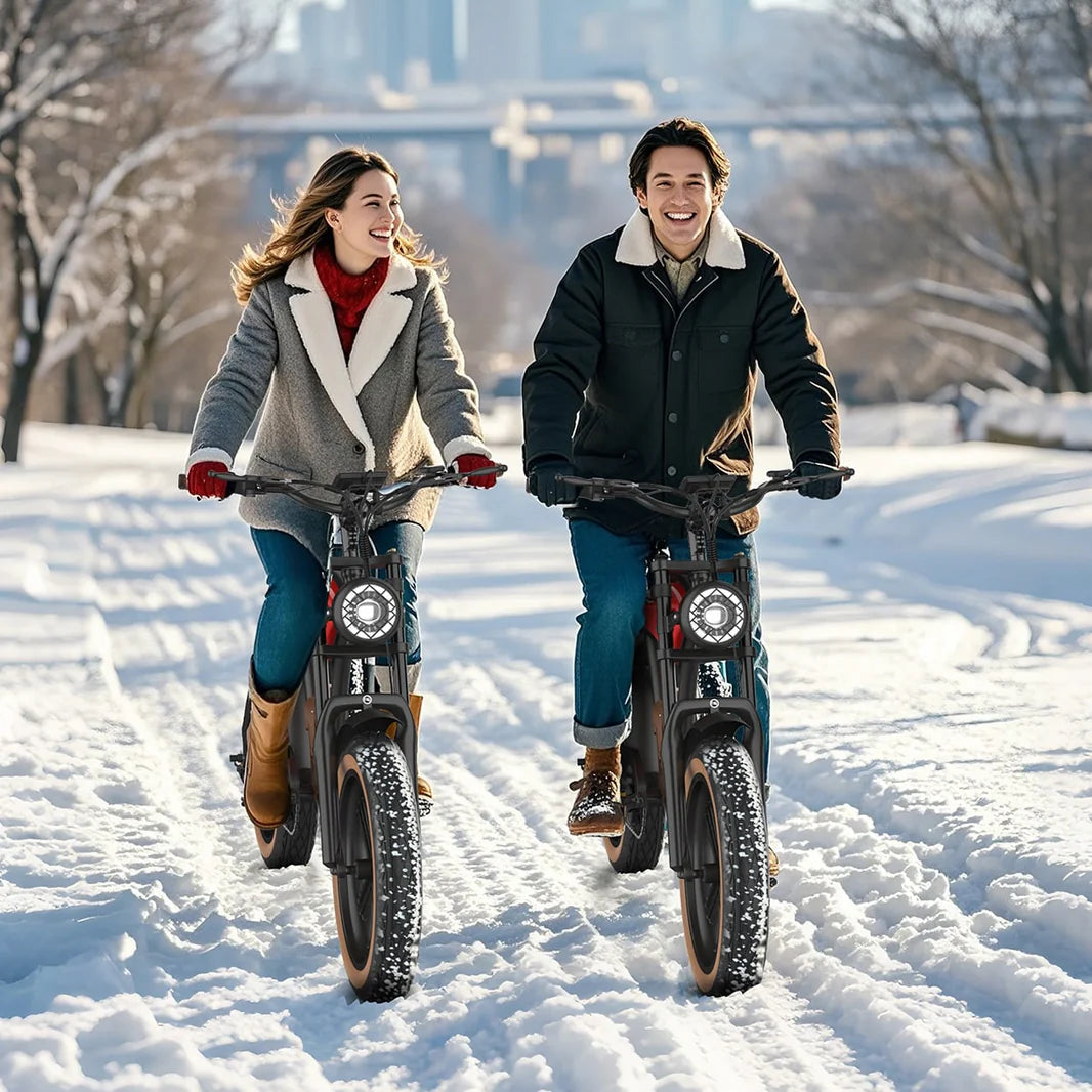 Hidoes B10 Electric Bike | 1000W | Fat tire | Cow Boy Style Seat |48km/hr| UL certified