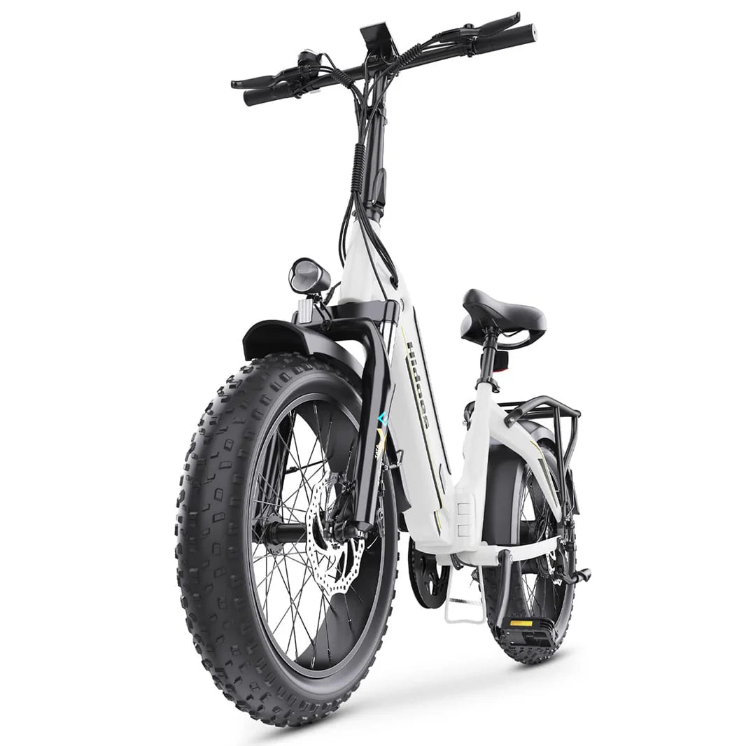 Hidoes BF1 Step Through Folding Electric Bike | 750W | 40km/hr | Fat tire