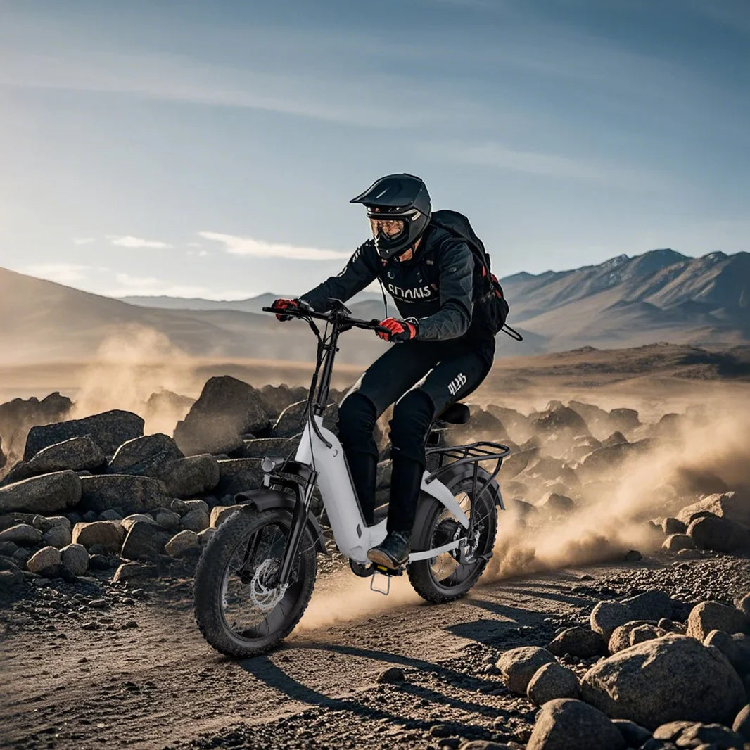 Hidoes BF1 Step Through Folding Electric Bike | 750W | 40km/hr | Fat tire