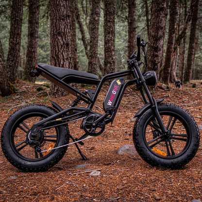 Windone E2 Fat Tire Off-Road Adventurer