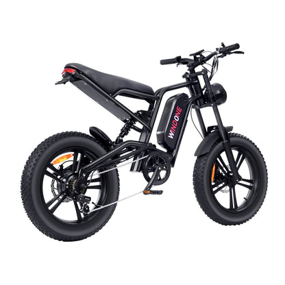 Windone E2 Fat Tire Off-Road Adventurer