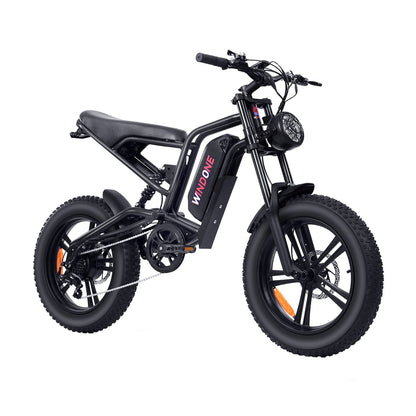 Windone E2 Fat Tire Off-Road Adventurer